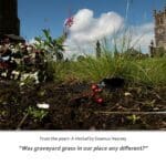 Seamus Heaney Homeland