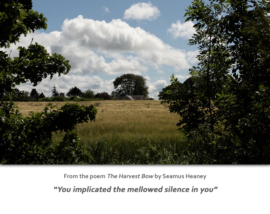Seamus Heaney Homeland