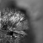 Through the Looking Glass