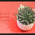 In Full Bloom Exhibition – Experiences