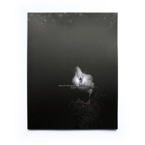 Towards an empty sea