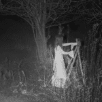 Callum Mayes – ‘Held in Light’ Exhibition