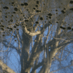 Jess Sloan – ‘Held in Light’ Exhibition