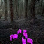 Public Land (1)